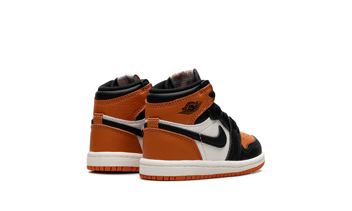 Air Jordan 1 Retro High OG TD Shattered Backboard FD1413 008